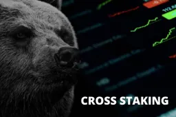 Cross Staking beschermt crypto-investeerders tegen de bearmarkt
