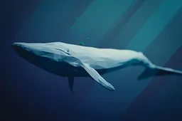 Crypto whales zetten massaal in op DOGE & AVAX - Welke crypto nu kopen?