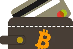 Het aantal gedownloade crypto-wallets schiet langs de 100 miljoen