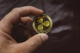 Ripple CEO zegt dat de Verenigde Staten het potentieel van XRP tegenhoudt