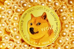 Dogecoin en memecoins in de schijnwerpers dankzij Elon Musk