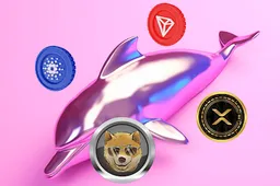 Oktober 2024 beste koopjes? Waarom whales hun belangen toewijzen aan TRX, ADA, XRP, DOGEN