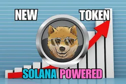 Solana meme coins trotseren de marktdaling - Is Dogen klaar voor explosieve groei?