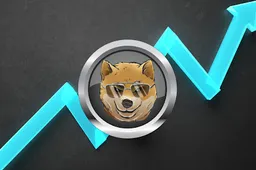 Deze memecoin van $0,0006 zou kunnen stijgen naar $60, volgens een Polkadot-investeerder die $8 miljoen heeft verdiend aan Shiba Inu