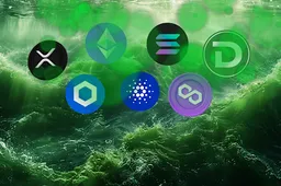 Cryptohandelaren enthousiast nu de lancering van DTX Exchange dichterbij komt, experts vergelijken potentieel met Solana en Wormhole