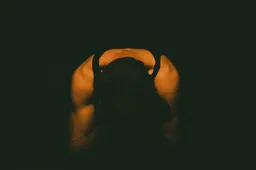 CEO van Turkse beurs Thodex vlucht weg met $2 miljard