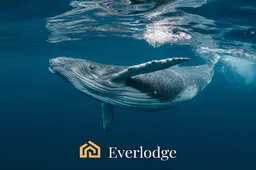 Ripple (XRP) en Polygon (MATIC) prijsvoorspellingen: Waarom Everlodge (ELDG) de nieuwe whale-magneet is