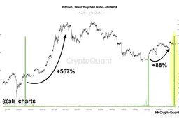Whales accumuleren massaal Bitcoin