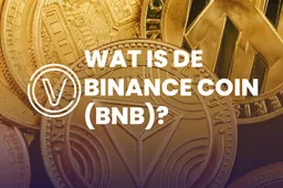 Wat is de Binance Coin (BNB)?