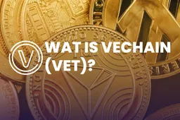 Wat is VeChain (VET)?