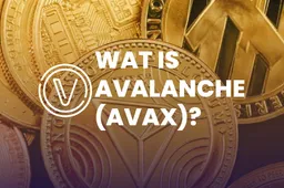 Wat is Avalanche (AVAX)?