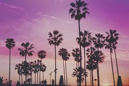 Burgemeester van Miami ontvangt salaris nog steeds in Bitcoin