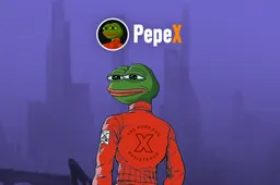 Nog 24 uur te gaan: Japans meme launchpad presale is bijna hier