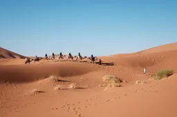 Scammers lanceren nep Saoedische memecoin