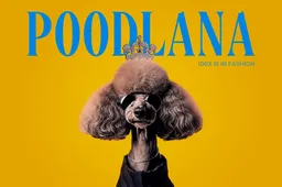 Poodlana gaat viraal nu geruchten over Binance notering toenemen