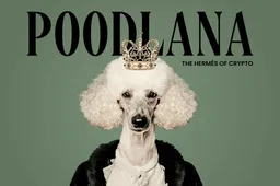 Top 3 Solana tokens die populair zijn op de markt voor crypto