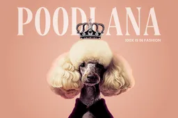 24-uur razernij: Het op Aziatische gerichte Poodlana haalt $1M op