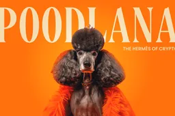Laatste kans: Poodlana's presale die al $7,7m heeft opgehaald eindigt vandaag