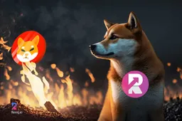 Shiba Inu (SHIB) burn-rate stijgt met 4.600%, softwarebug raakt Binance, RenQ Finance (RENQ) geeft 5000% rendement in 2023, volgens experts