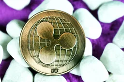 XRP laat bullishness zien + kans op short squeeze, aldus Santiment