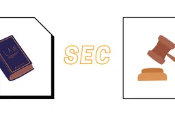 SEC krijgt opnieuw kritiek te voortduren over 'machtsgreep'