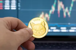 Crypto expert: Hoeveel SHIB moet je nu kopen om rijk te worden met crypto memes