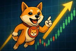 On-chain activiteit van Shiba Inu stijgt explosief, kan de prijs volgen?