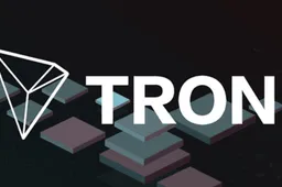 TRON DAO gehackt op X, terwijl netwerk schittert!