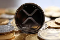 Ripple CEO: XRP zal grensoverschrijdende betalingen vergemakkelijken en versnellen