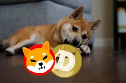 DOGE en SHIB: Nieuwe hoogten in zicht? Experts suggereren XYZVerse als een sterkere keuze