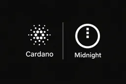Waarom Cardano's Midnight (NIGHT) zich onderscheidt van de rest – volgens senior analist