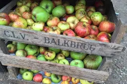 balkbrug fruitpersdag