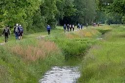 diever drfrw wandel