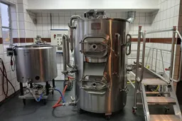 hoogeveen de jonge beer