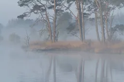 ruinen natuurmonumenten erik bethlehem witte wieven