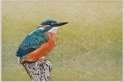 stapel wildschutserve ijsvogel c claudia vd leur