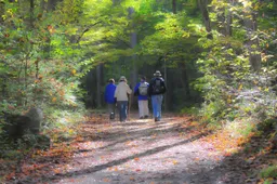 hiking 1232453 1280