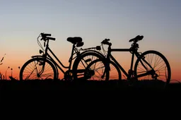 fietsen-pexels-pixabay-289869