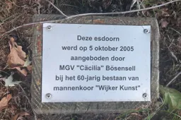 De Wijk Wijker Kunst bomen3