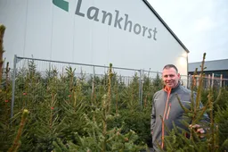 pn18112025 Ruinerwold Ronald Lankhorst kerstbomen2
