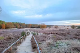 Havelte Herstelde trap Holtingerveld - C Staatsbosbeheer - Betsy Koning
