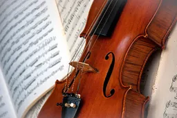 viool ri_ya-violin-7775182_1280