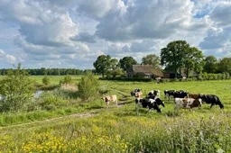 WOL GL PvdA extensieve-landbouw