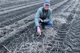 De Wijk Vinder Eerste kievitsei Drenthe