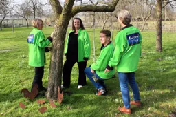 Hoogeveen Kunstwark in het park