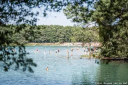 Dwingeloo Natuurmonumenten-Brenda van de Wal-watermerk-1920-MF11882 (1)