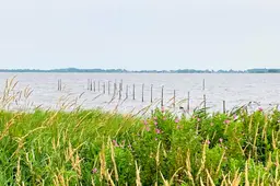 slotermeer img 6310