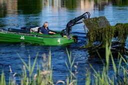 Onderhoud-vijvers-en-watergangen-768x432