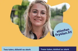 poster stim fan fryslan
