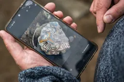 Archeologische-opgravingen-Achterom-Lemmer-Foto-Gewoan-Dwaan-Douwe-Bijlsma-19-768x512